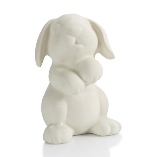 Rabbit Party Animal 4.5H
